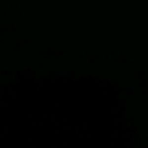 Meet your Posher, Ayana